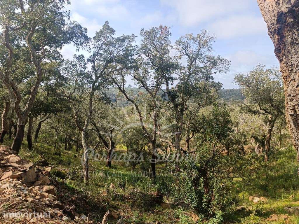Terreno Rustico São Francisco da Serra - Grande imagem: 3/24