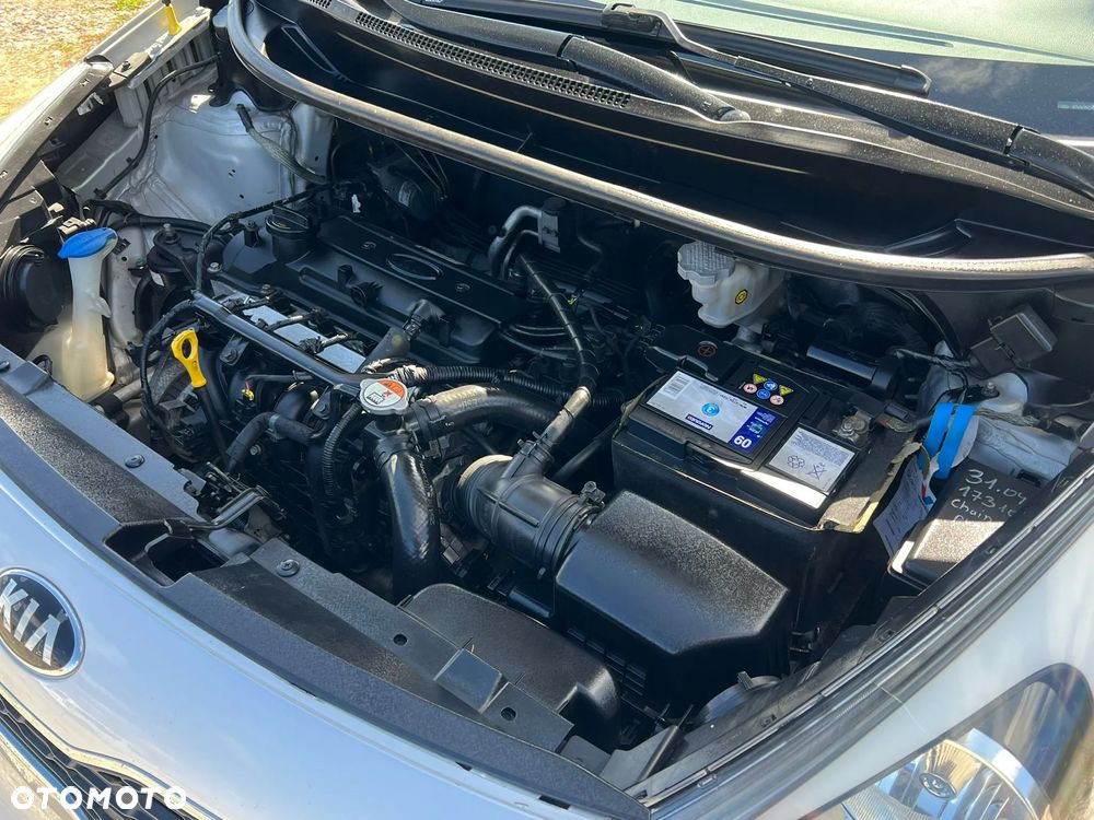 Kia Rio 1.2 Dream Team Edition - 12