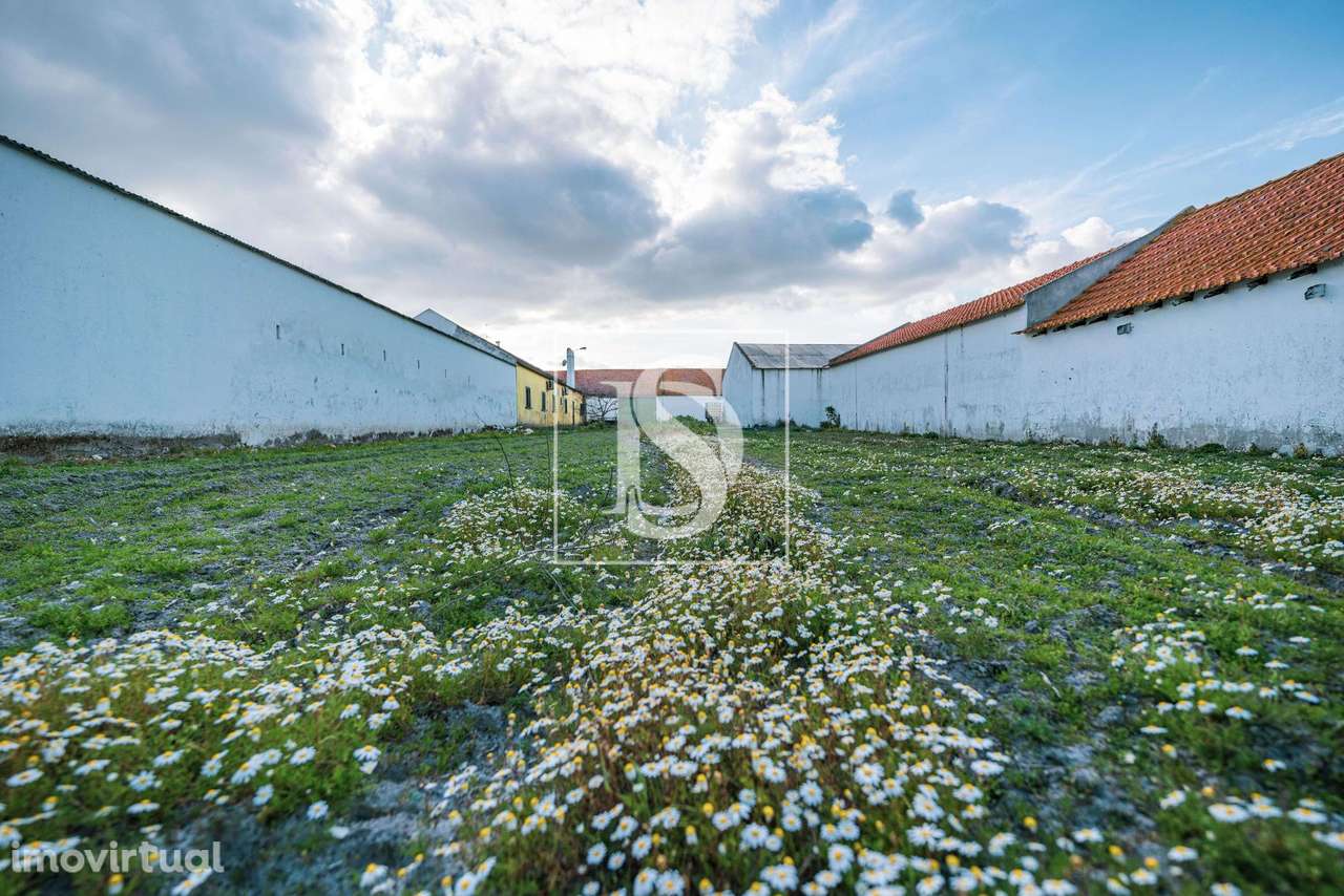 Herdade T3+2 Venda em Poceirão e Marateca,Palmela - Grande imagem: 4/29