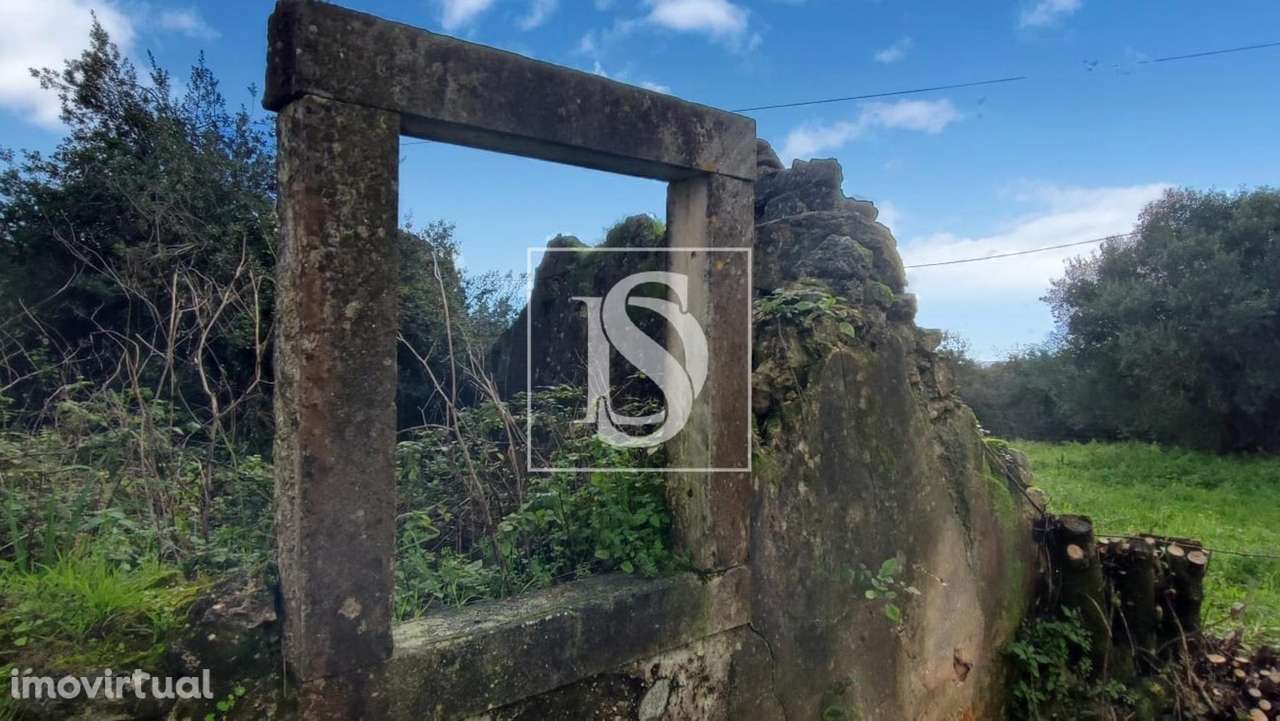 Moradia Devoluta T3 Venda em Assentiz,Torres Novas - Grande imagem: 2/17