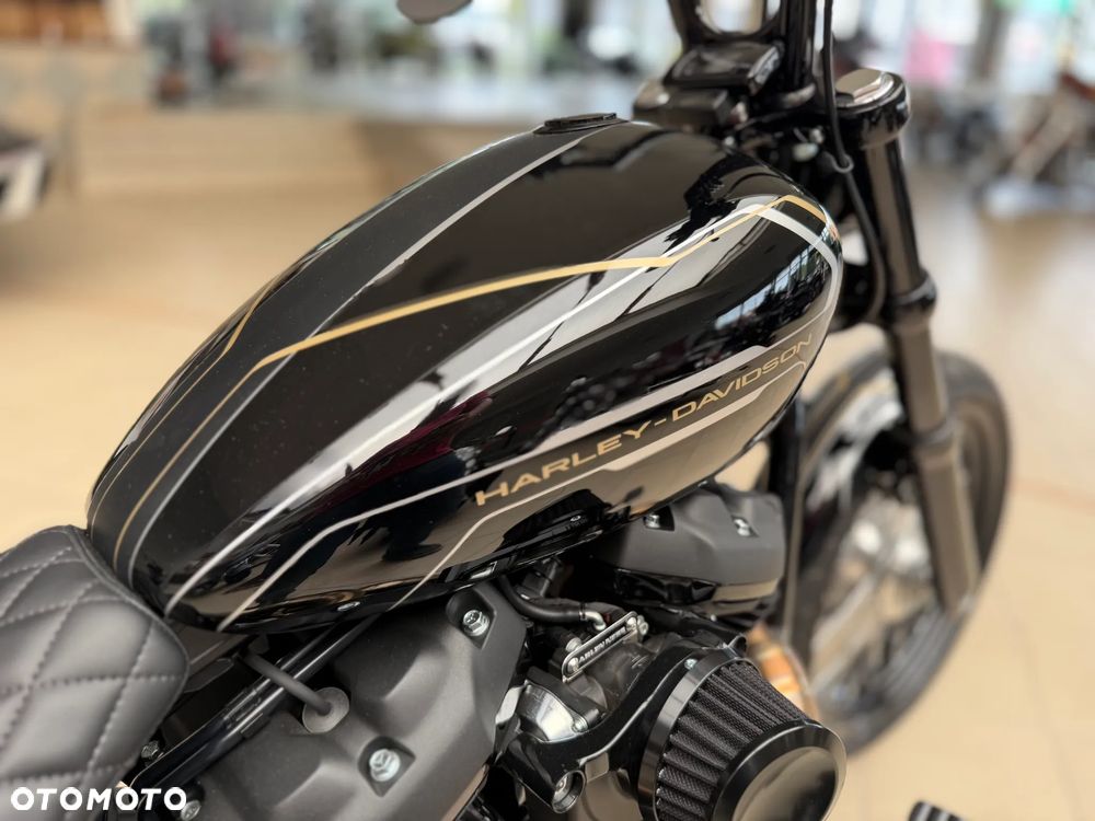Harley-Davidson Softail - 16