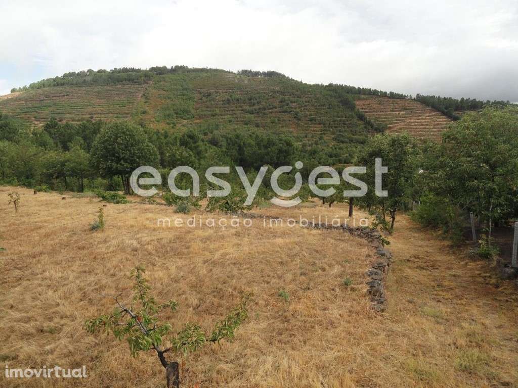 Terreno Rústico com cerca de 60 cerejeiras em Alcongosta - Grande imagem: 3/10