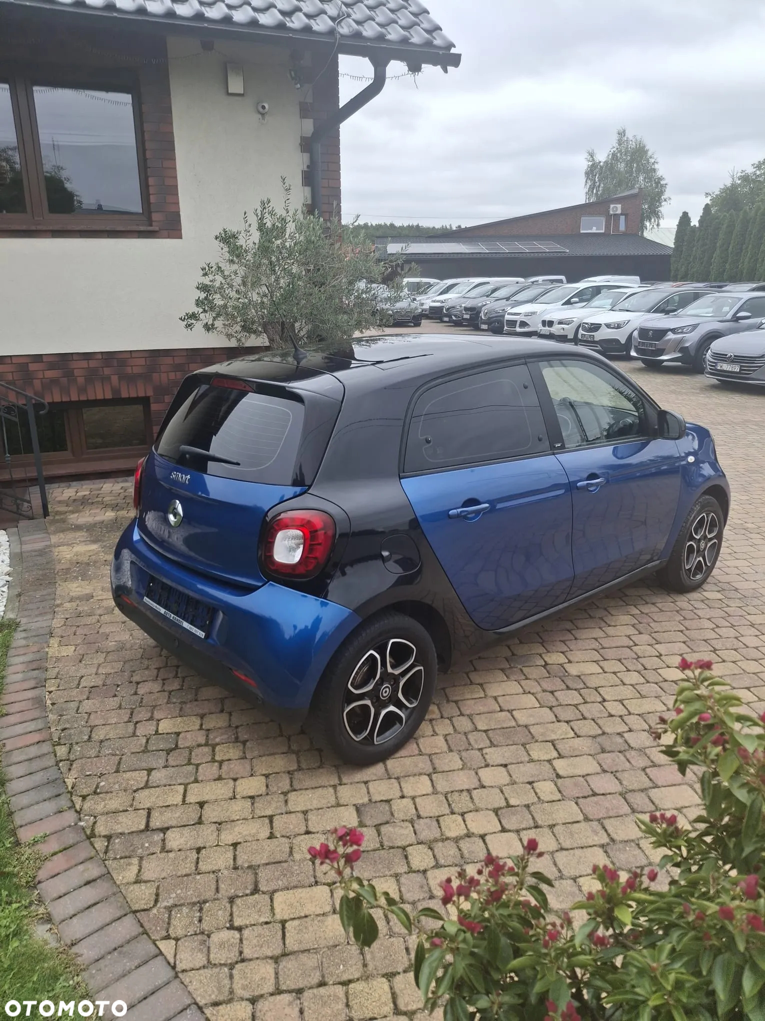 Smart Forfour prime - 4
