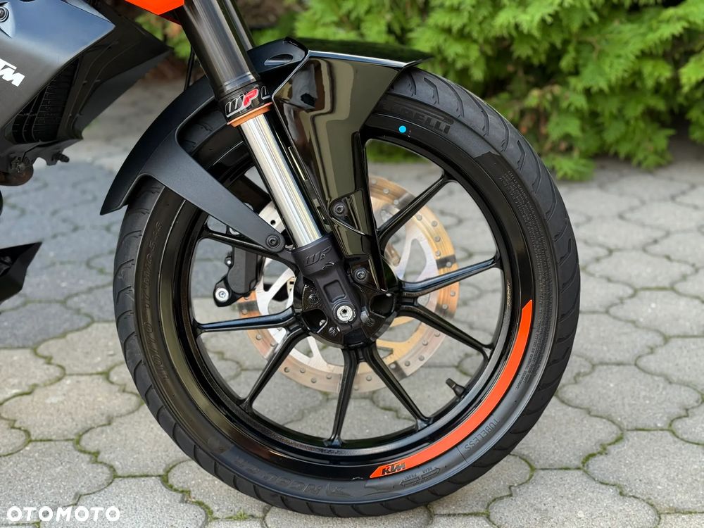 KTM Duke - 11