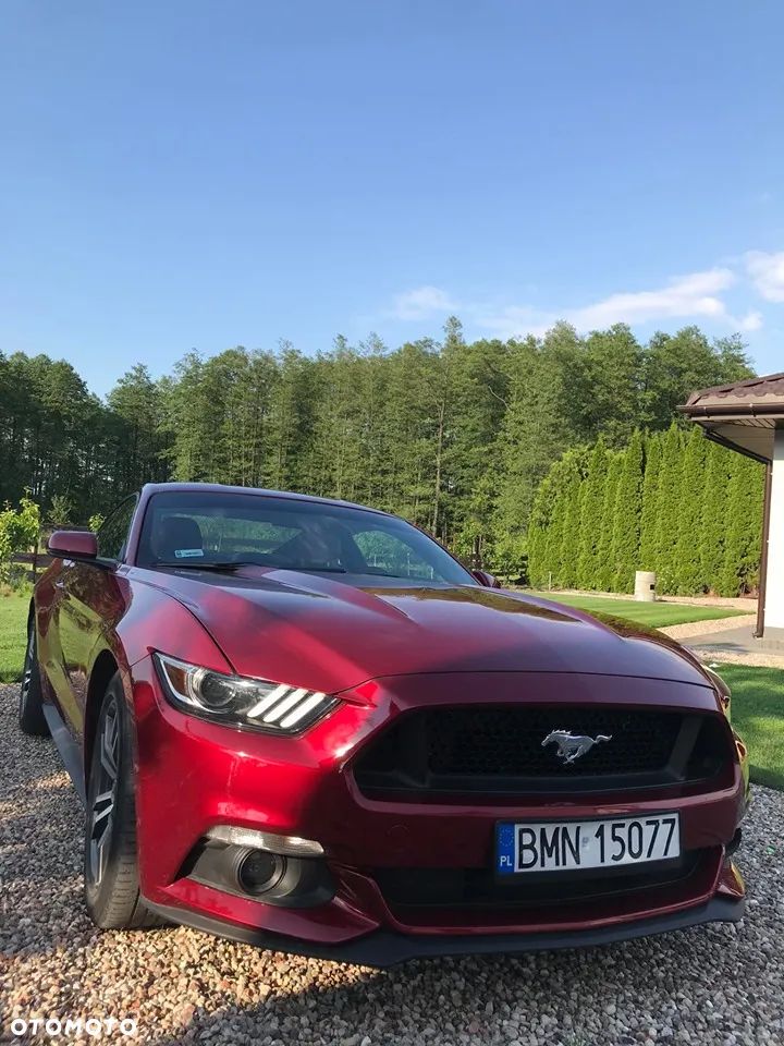 Ford Mustang 2.3 EcoBoost - 12