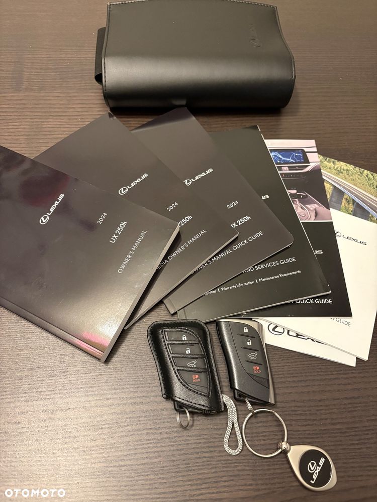 Lexus UX 250h GPF F Sport Edition AWD - 28
