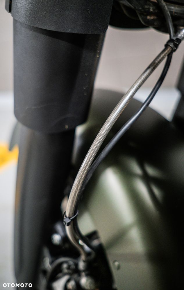 Indian Springfield - 23