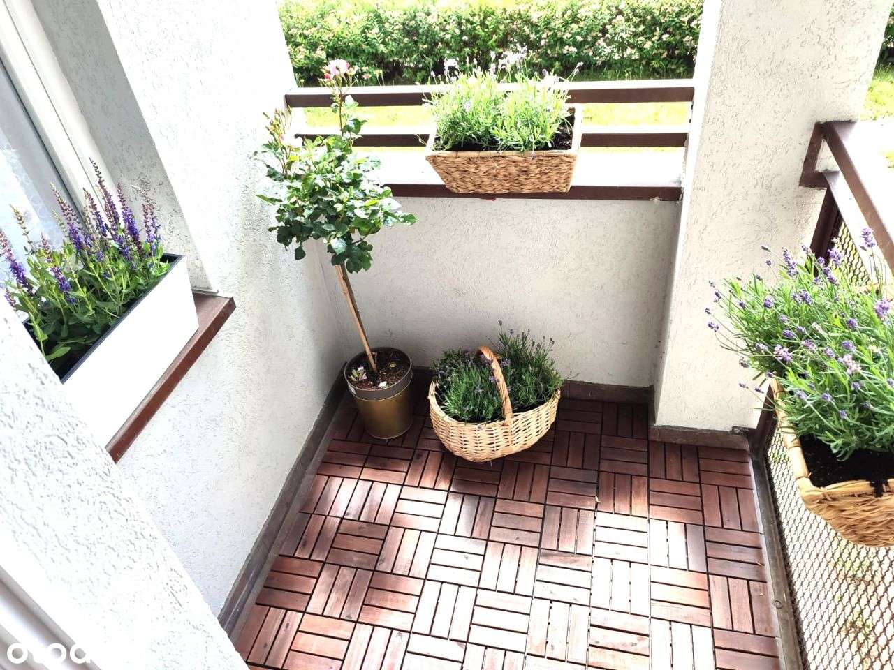 Mieszkanie 1-pokojowe z oddzielną kuchnią z oknem i balkonem
