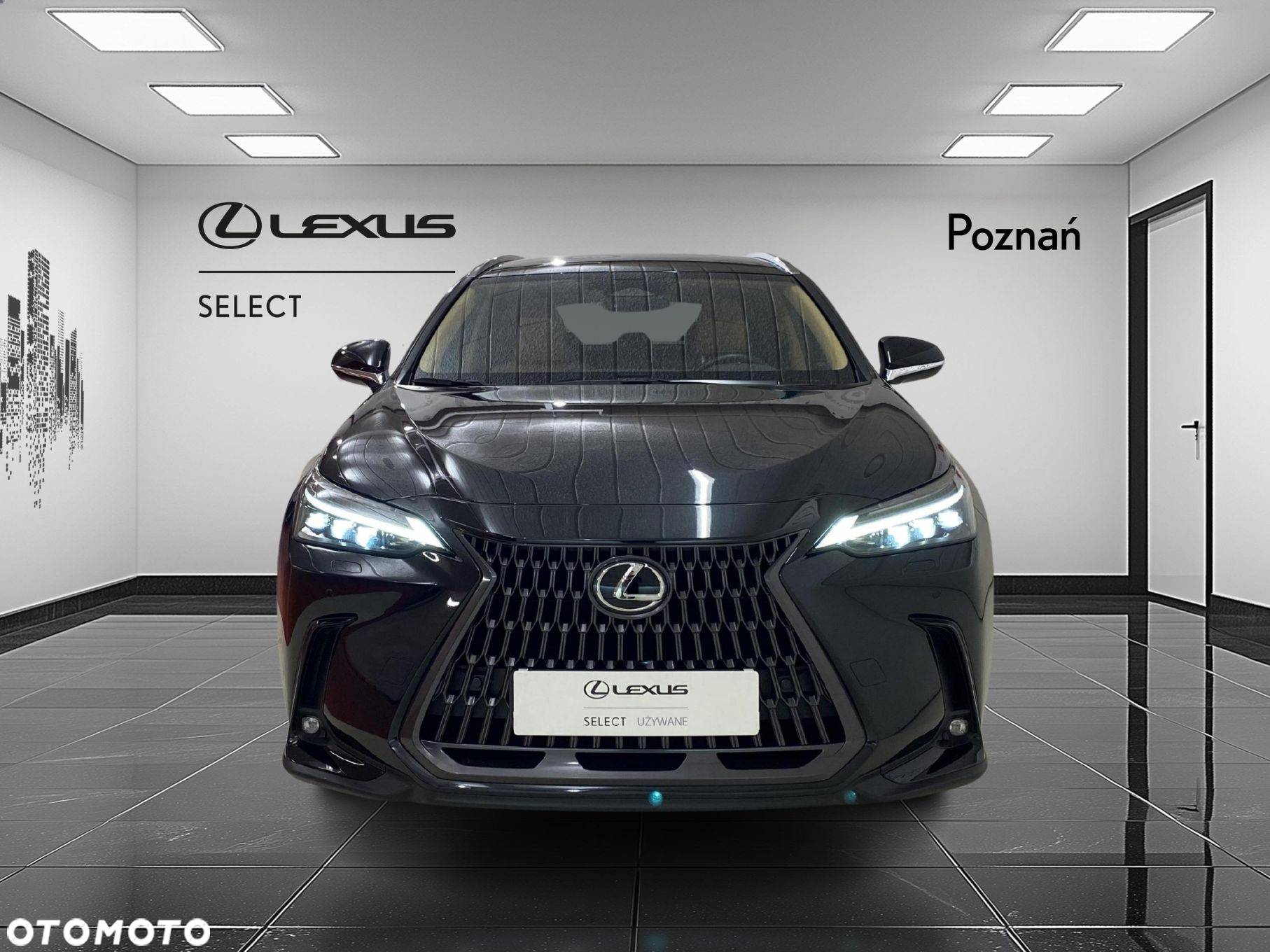 Lexus NX - 8