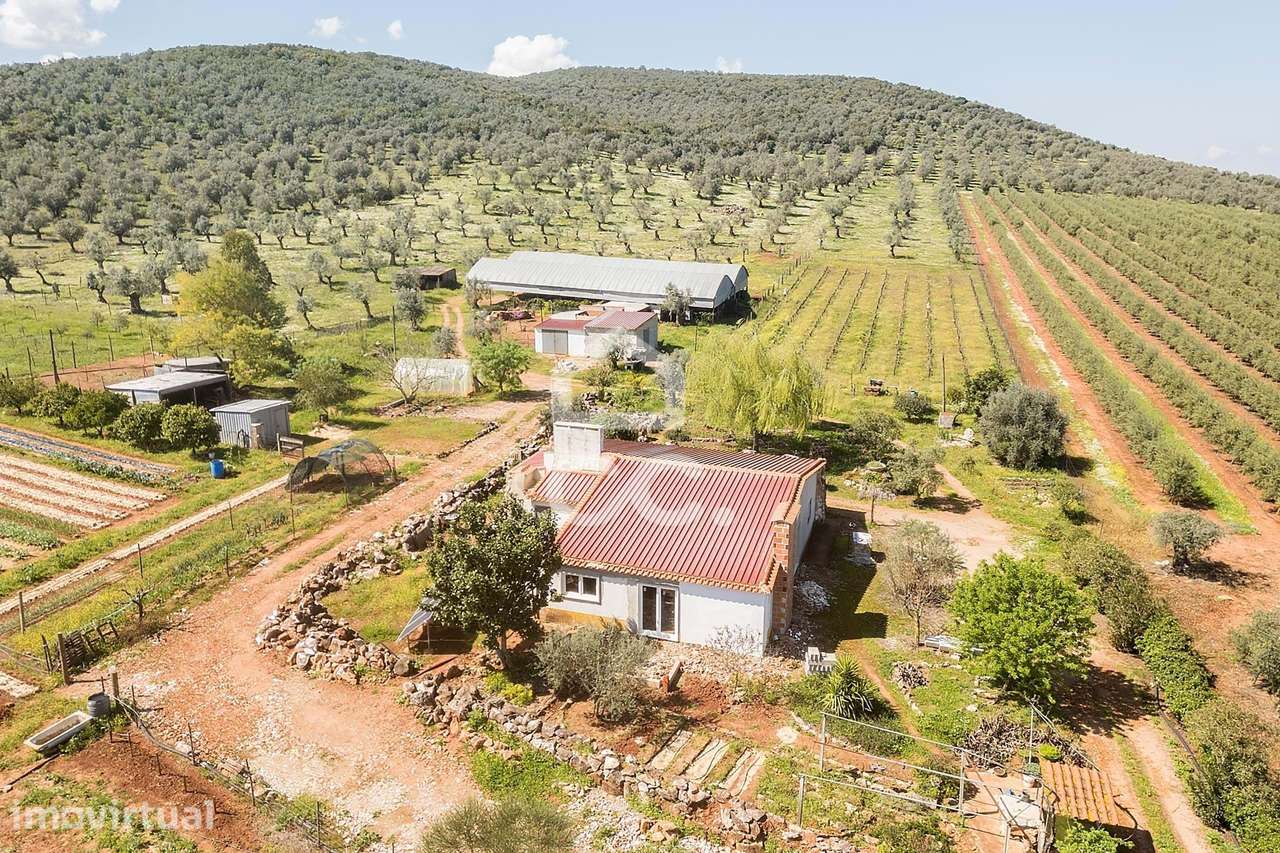 Quinta com 7,4 ha c/ Moradia em Renovação e Infraestruturas Agrícolas - Grande imagem: 3/60