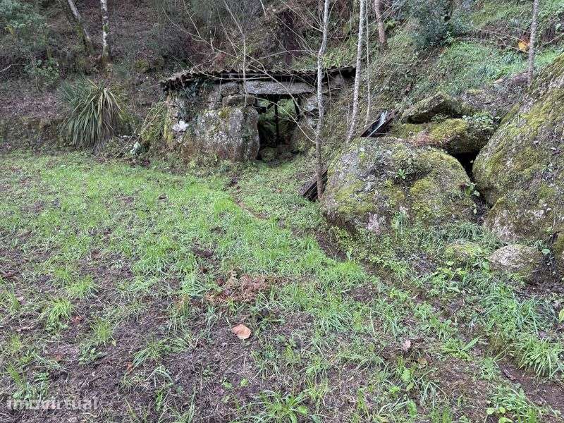 Terreno com Ruina em Louredo, Vieira do Minho - Grande imagem: 4/12