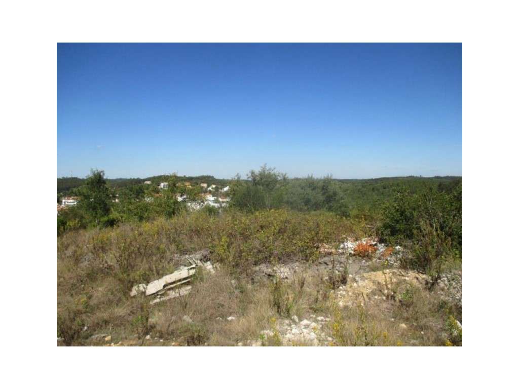 Terreno rústico com 2954m2 em Soure - Grande imagem: 3/5