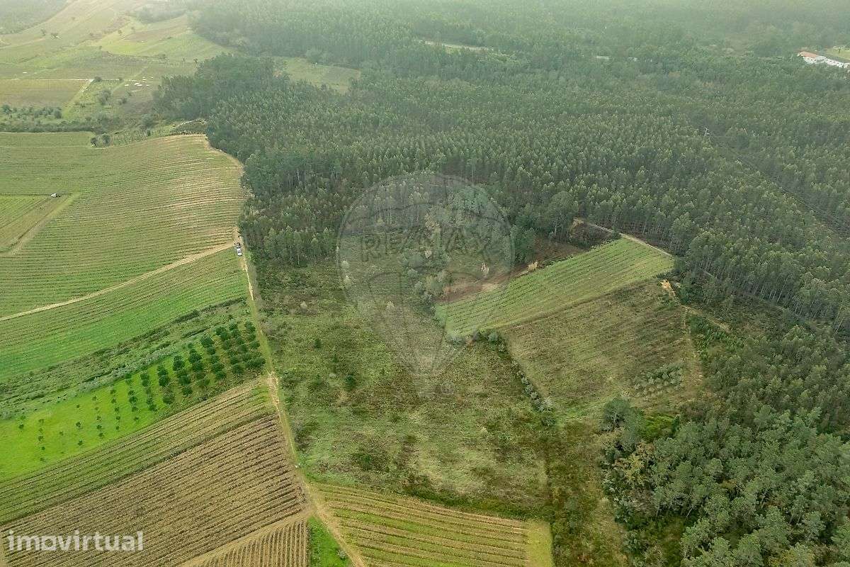 Terreno  para venda - Grande imagem: 5/16