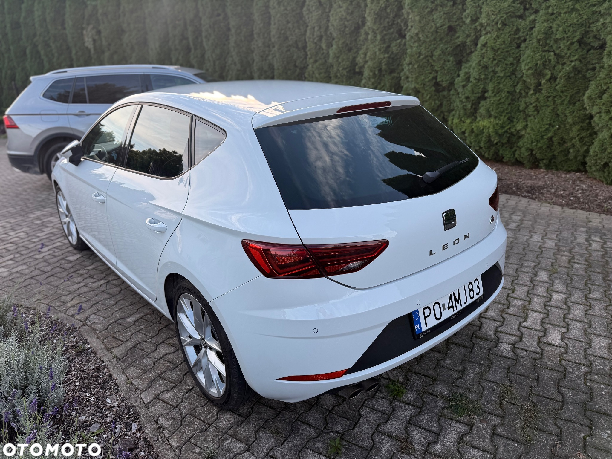 Seat Leon 1.5 EcoTSI Evo FR S&S DSG - 6