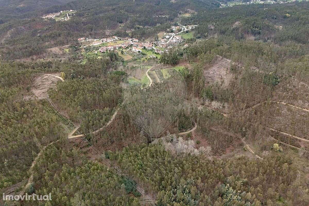 Terreno  para venda - Grande imagem: 5/7