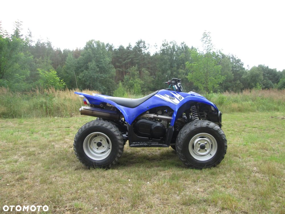 Yamaha Wolverine - 2
