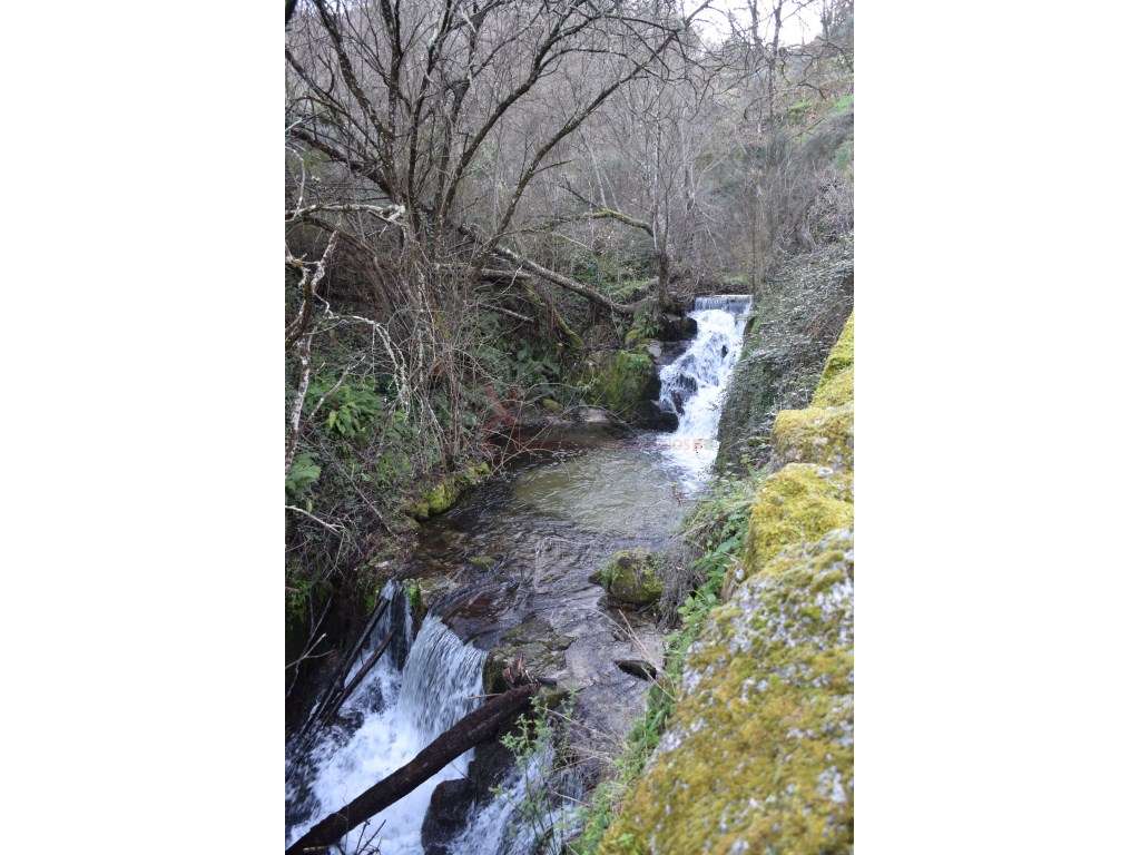 Quinta no Parque Natural da Serra da Estrela - Grande imagem: 4/11