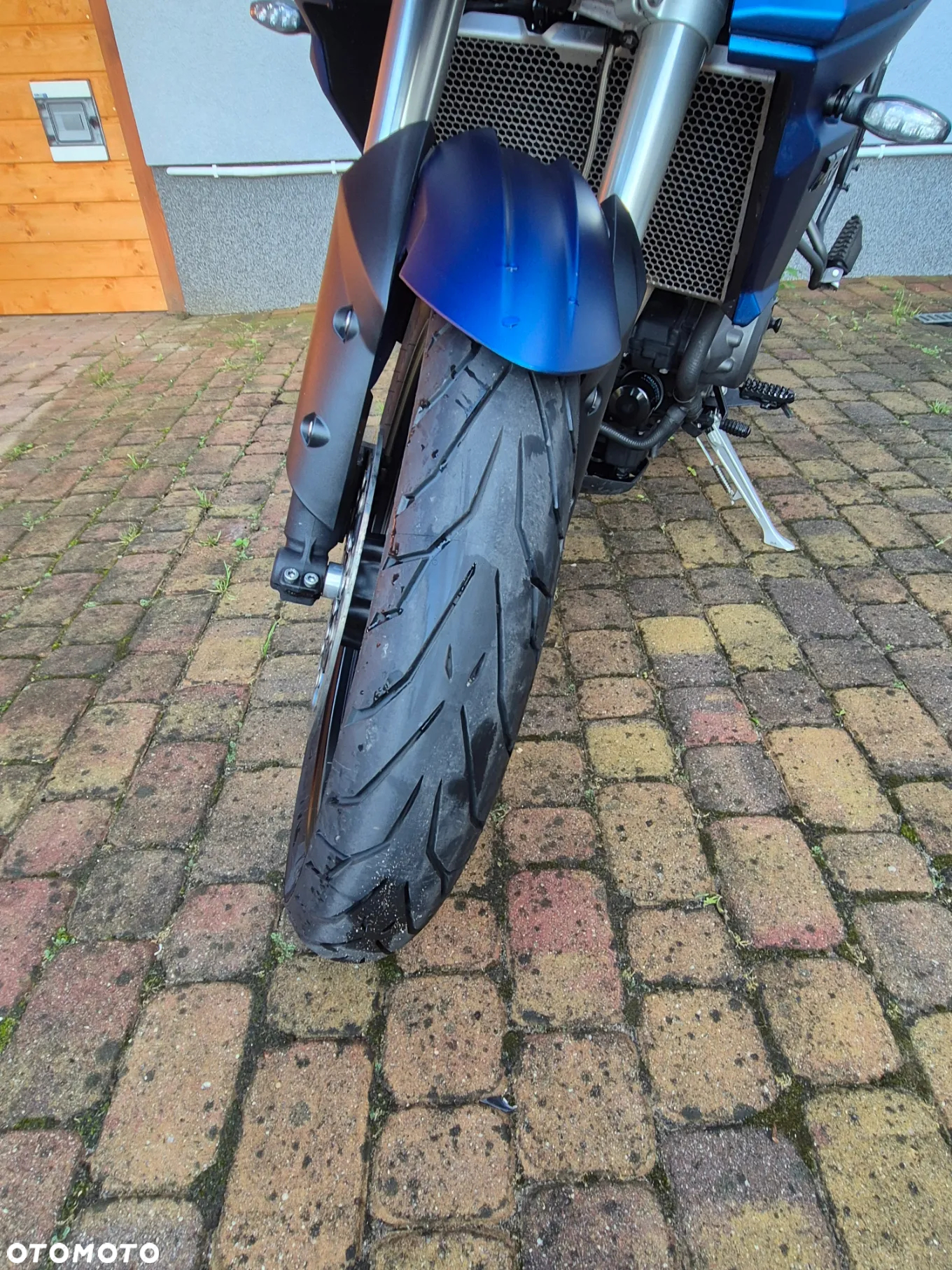 Triumph Tiger - 6