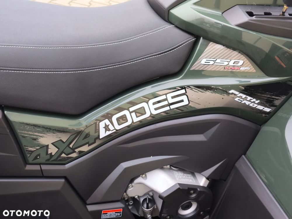 ODES Patchcross - 10