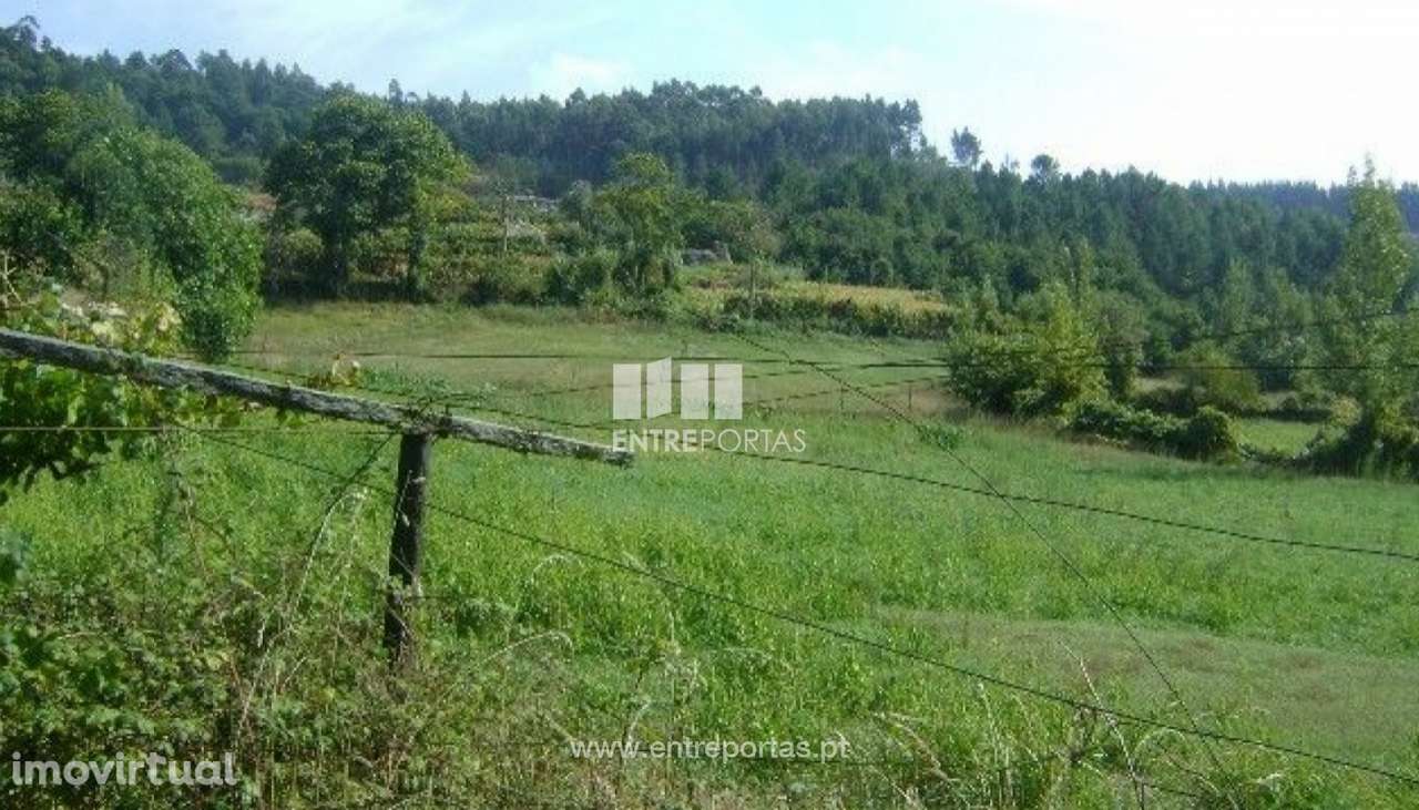 Venda Terreno com área de 9800 m2, Gove, Baião - Grande imagem: 2/10