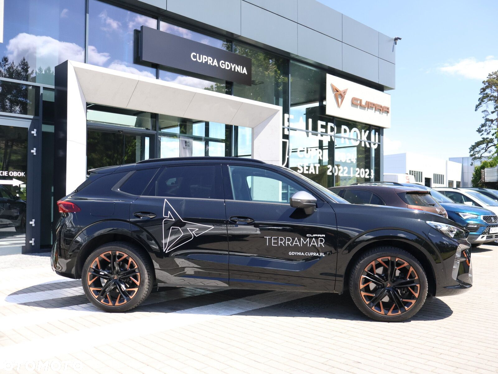 Cupra Terramar - 9