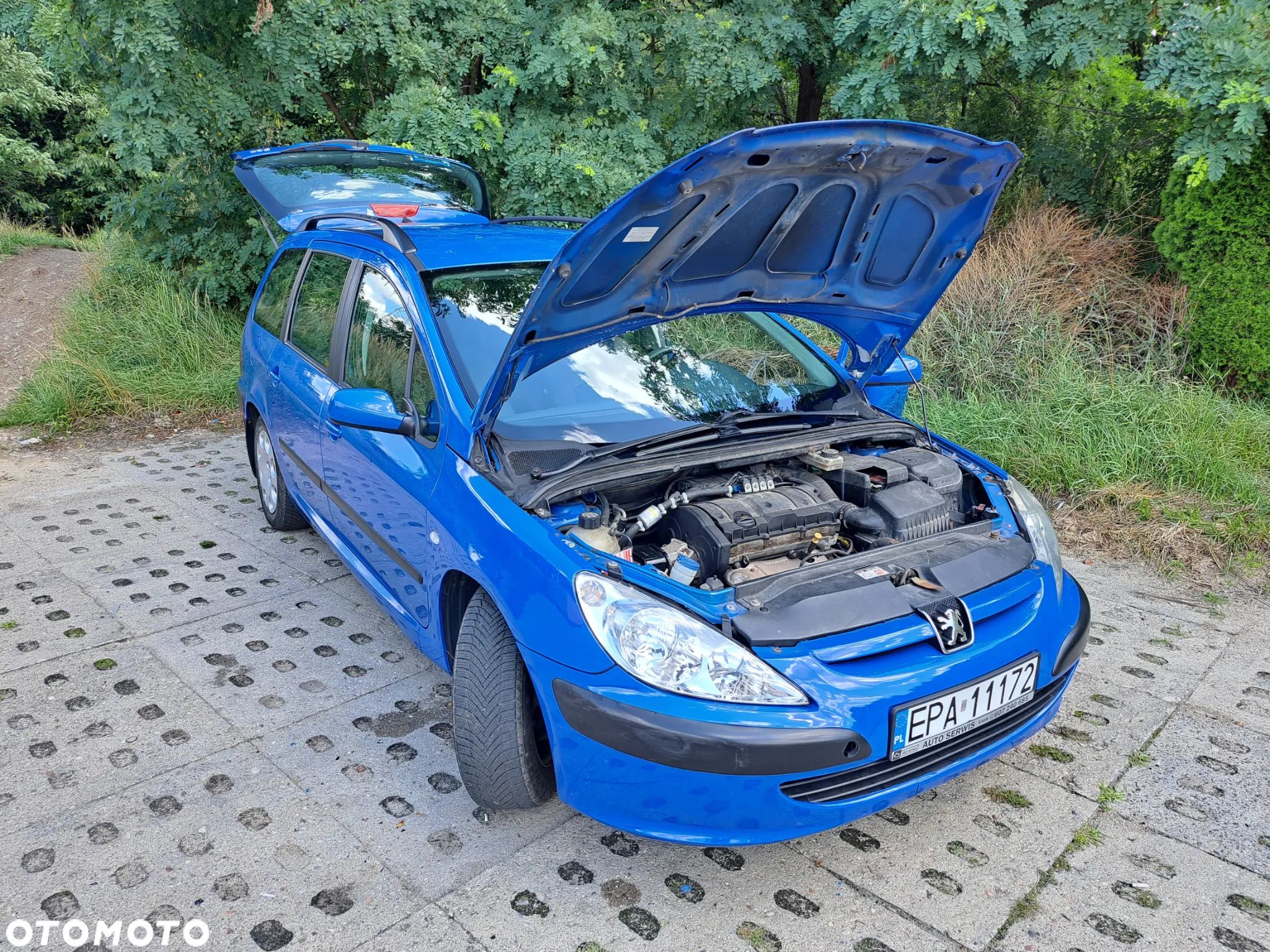 Peugeot 307 - 19