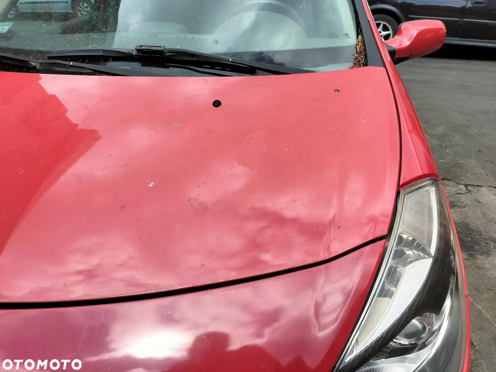 KLAPA BAGAŻNIKA RENAULT CLIO III 1.5 DCI 05-09r PRZED LIFT KOD LAK. OV727 - 13