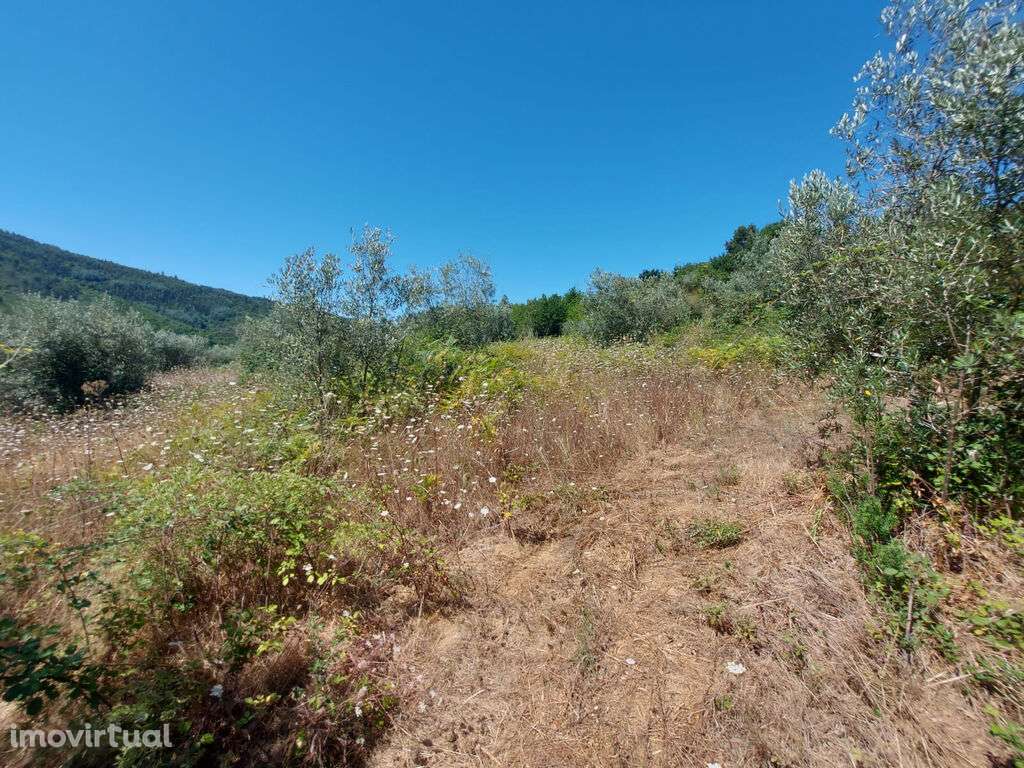 Venda Terreno - Grande imagem: 3/6