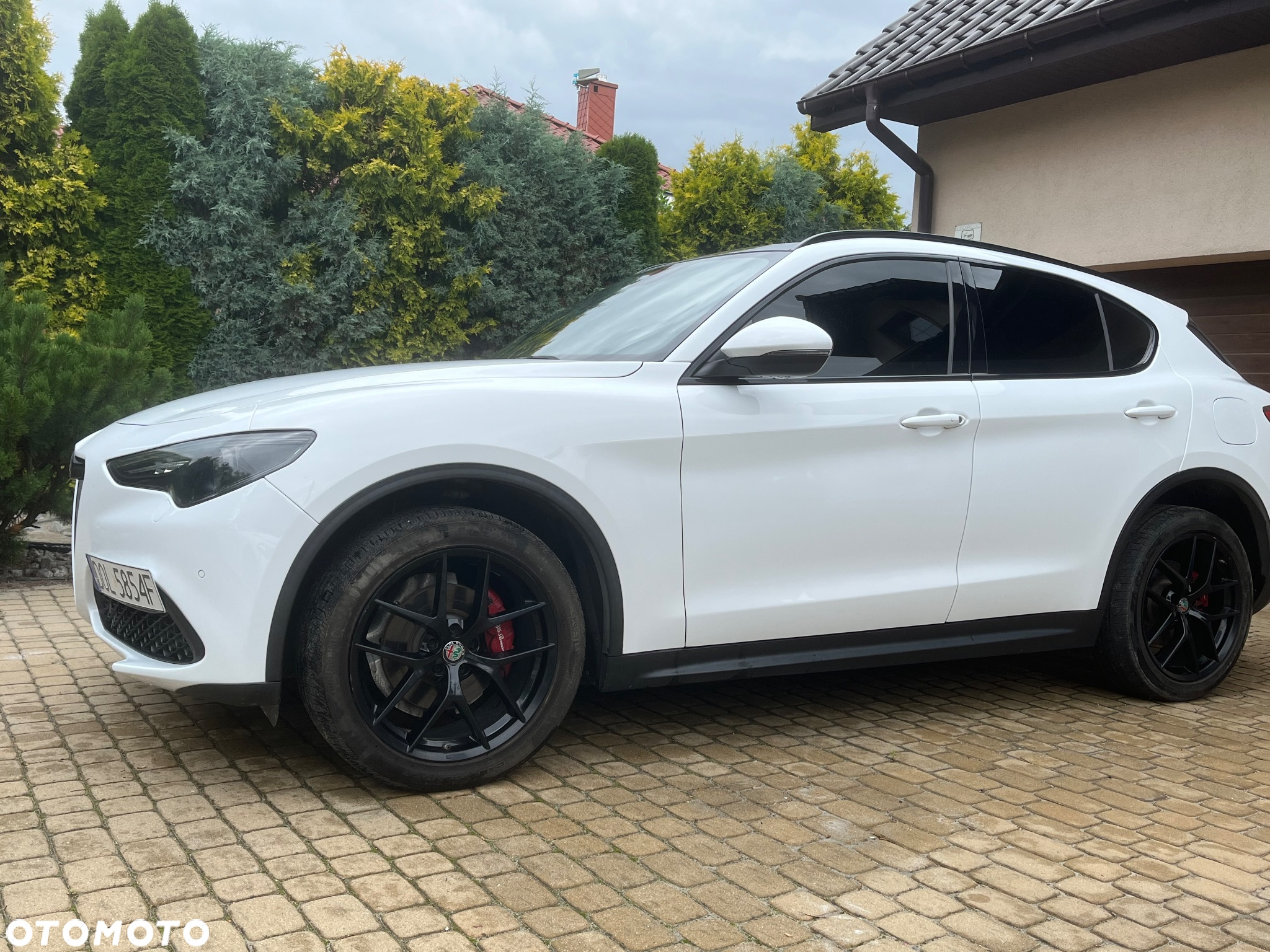 Alfa Romeo Stelvio 2.0 Turbo 16V AT8-Q4 Veloce Ti - 8