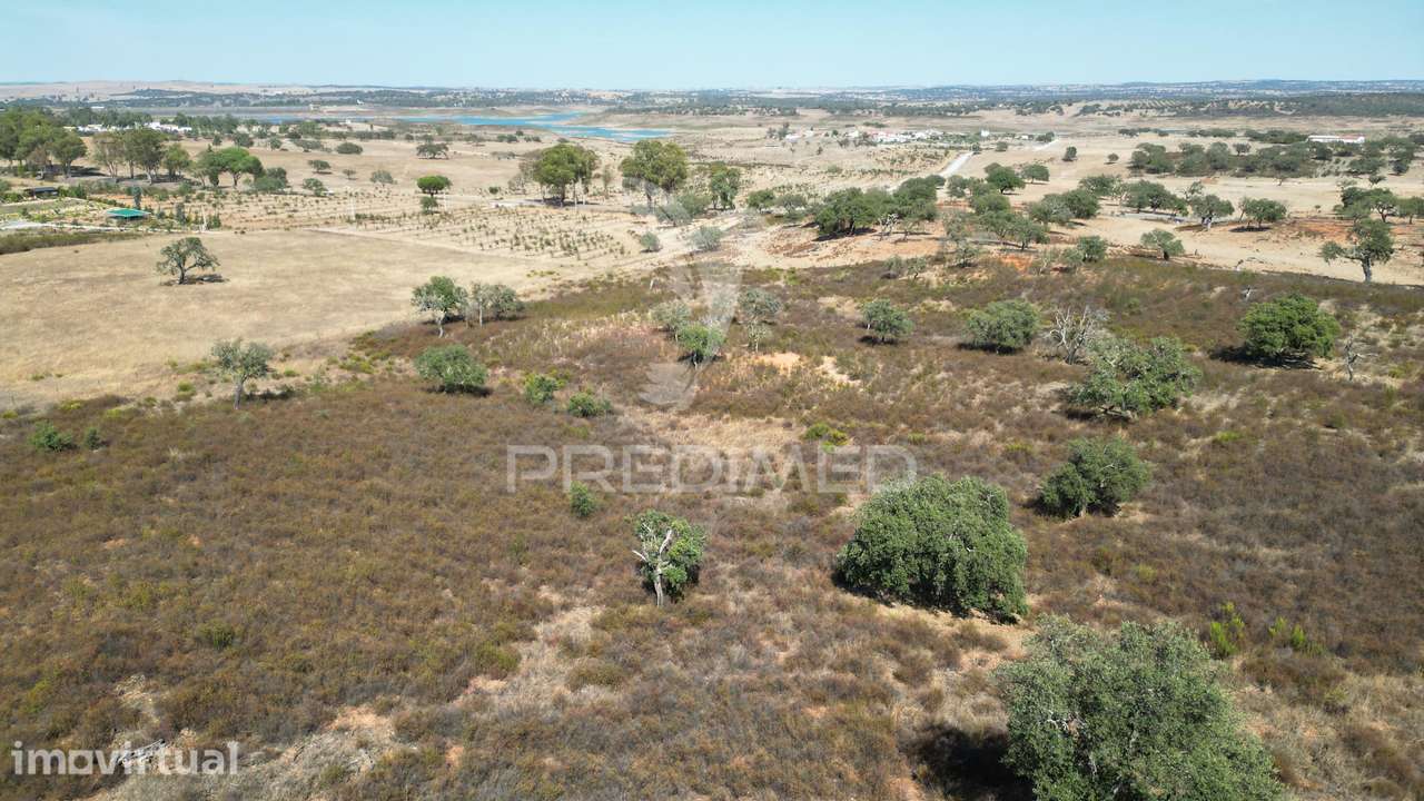 Terreno rústico com 5,2500 ha em Chada velha, Ourique - Grande imagem: 4/11