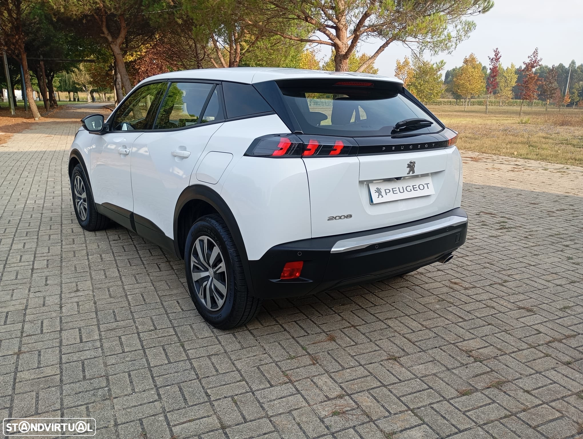 Peugeot 2008 BlueHDi 110 Active - 7