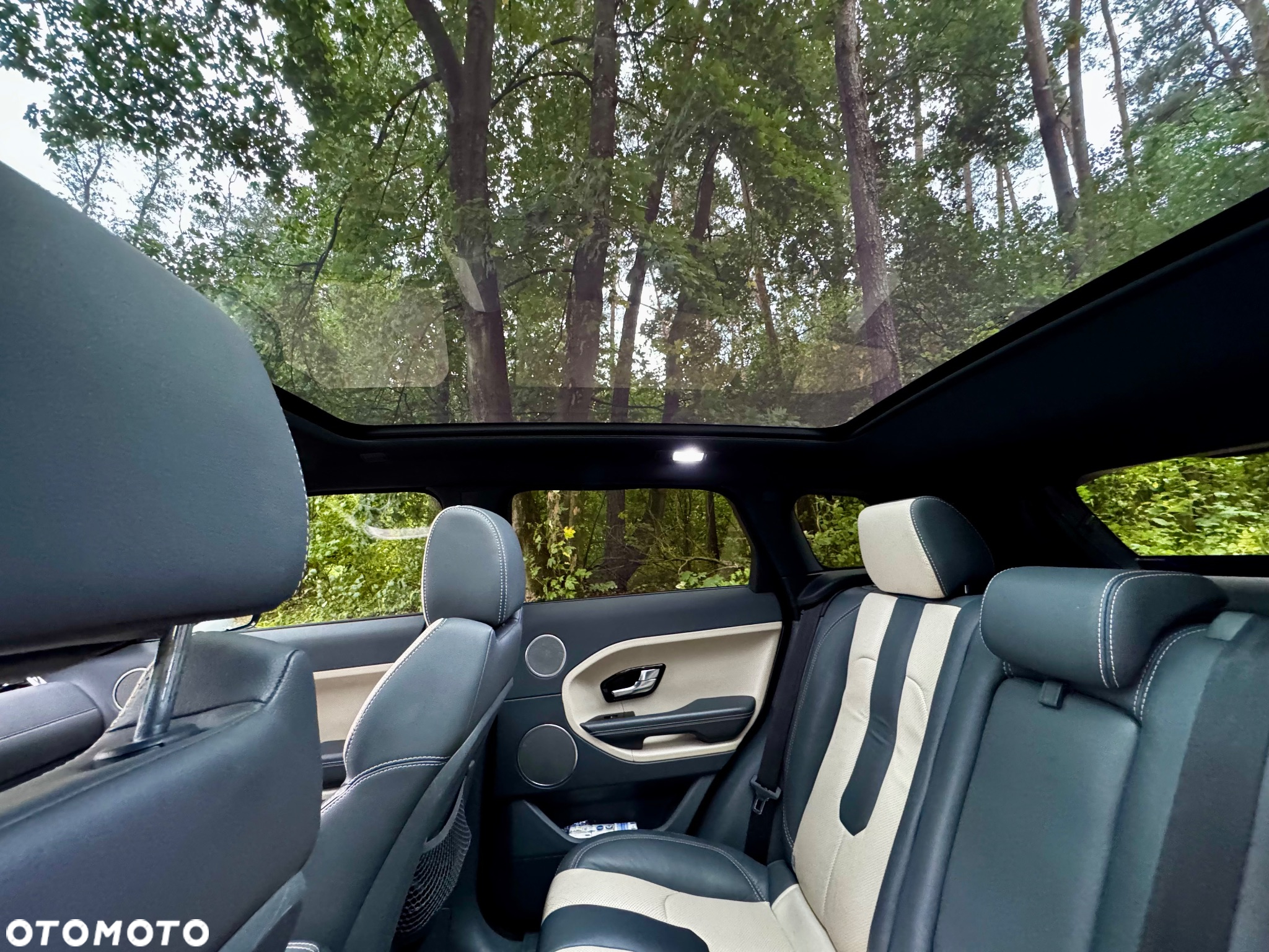 Land Rover Range Rover Evoque 2.0Si4 SE Dynamic - 19