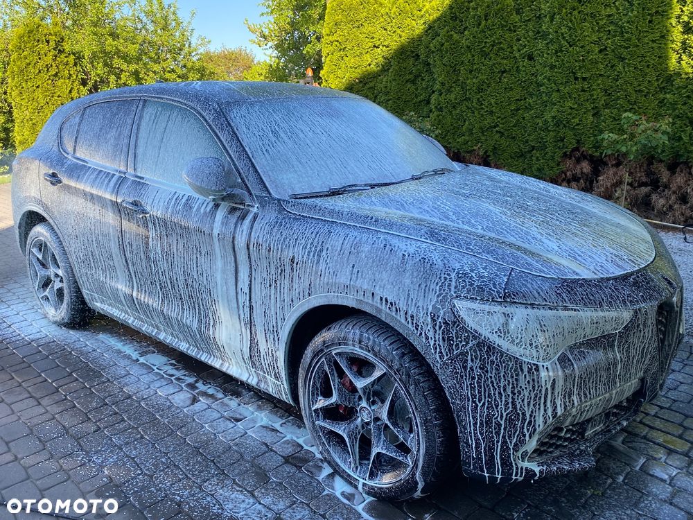 Alfa Romeo Stelvio 2.0 Turbo Executive Q4 - 15