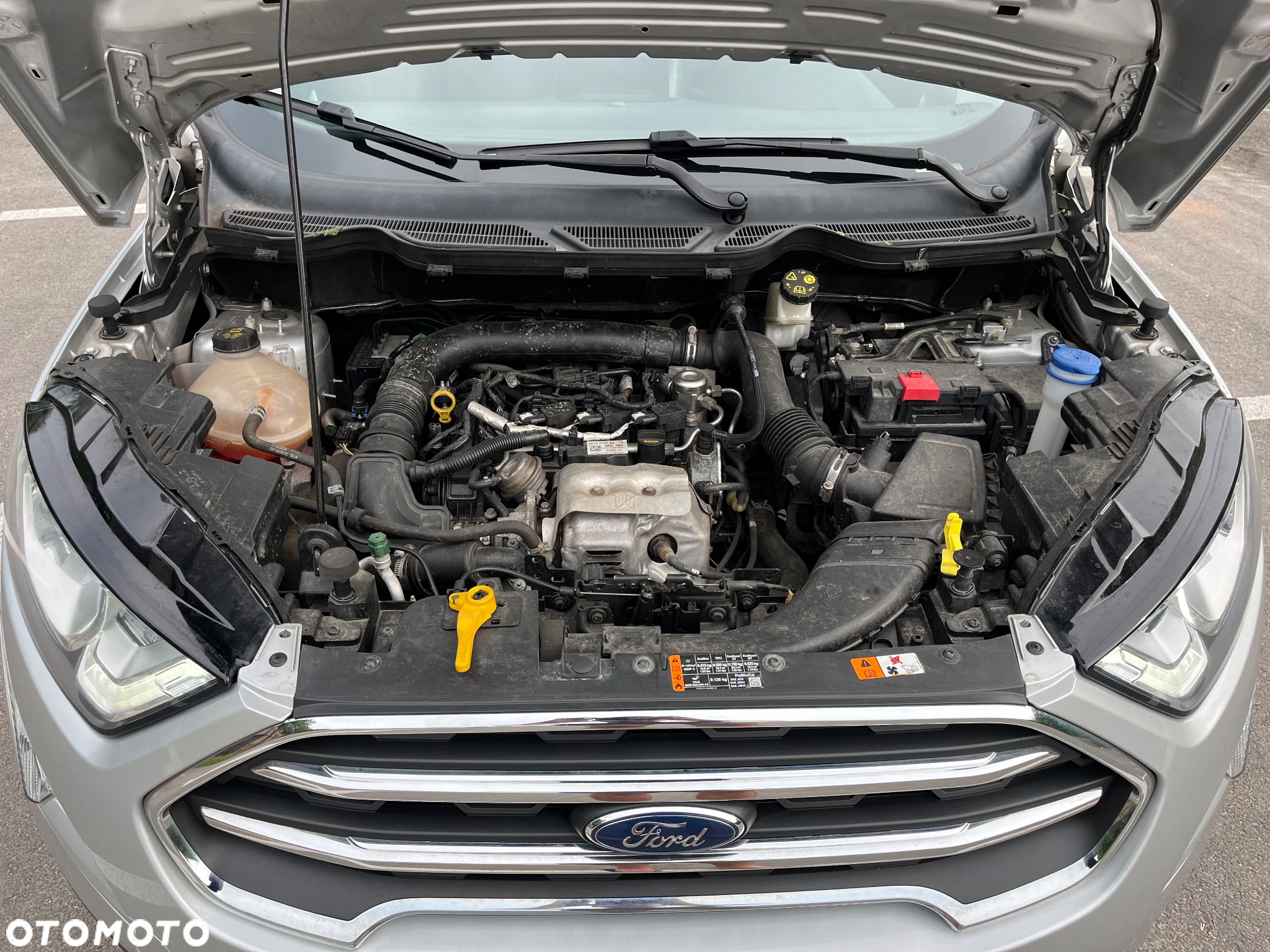 Ford EcoSport - 17