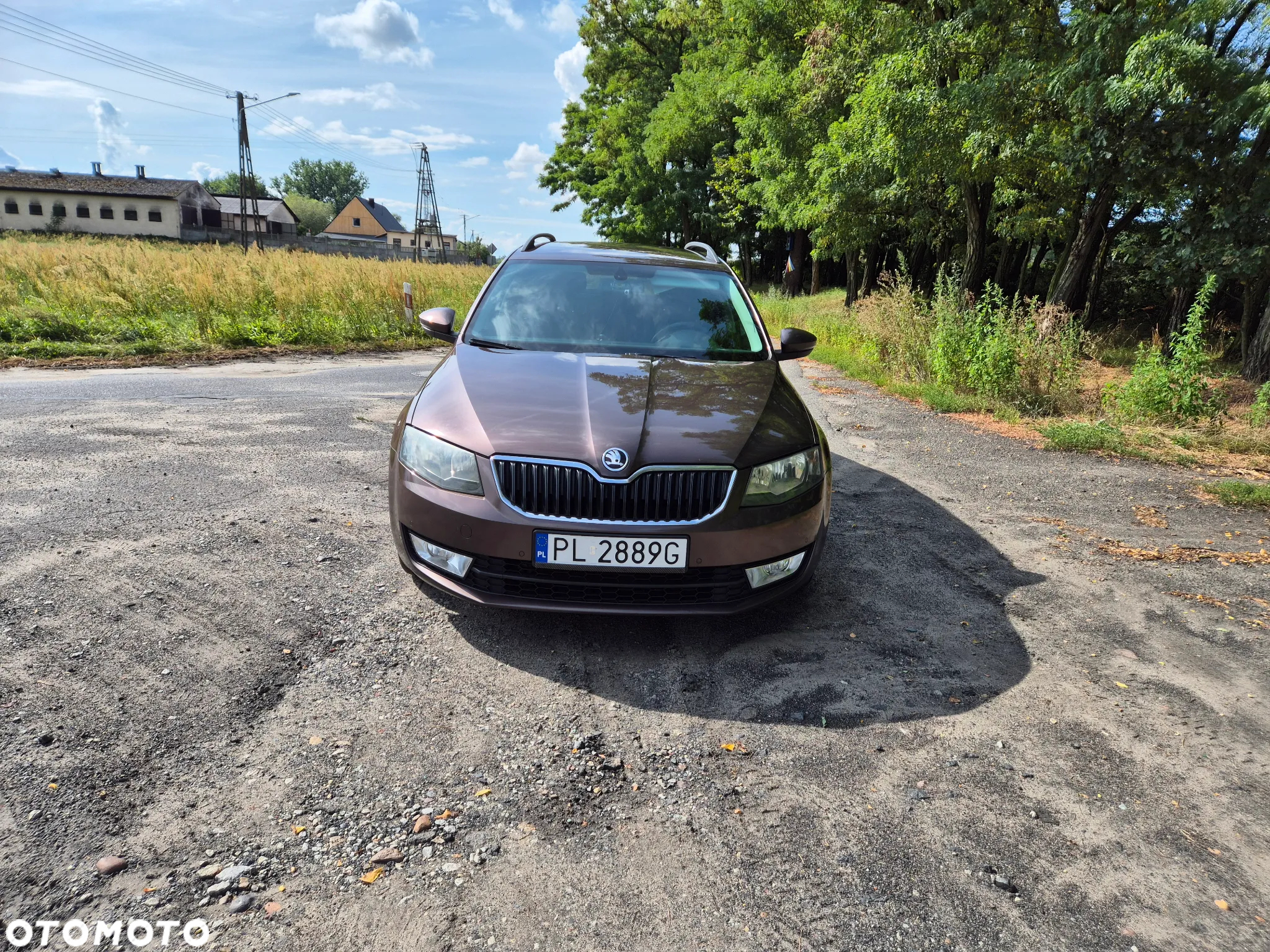 Skoda Octavia - 8