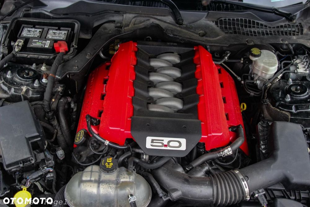 Ford Mustang 5.0 Ti-VCT V8 Black Shadow Edition - 6