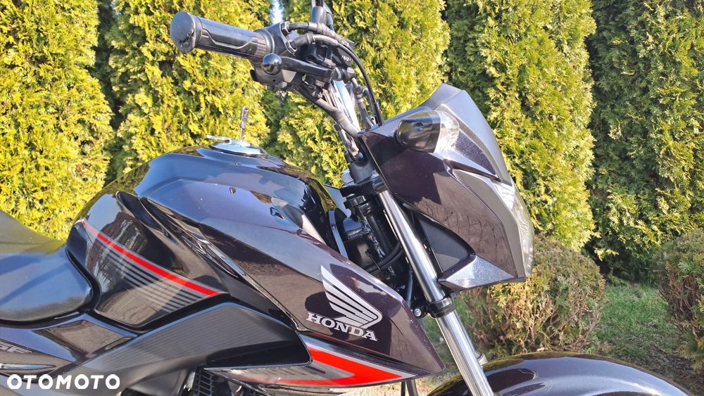 Honda CBF - 14
