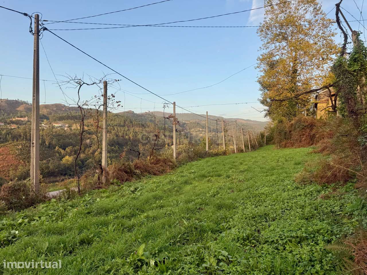 Terreno Construção Vieira Do Minho - Grande imagem: 5/10