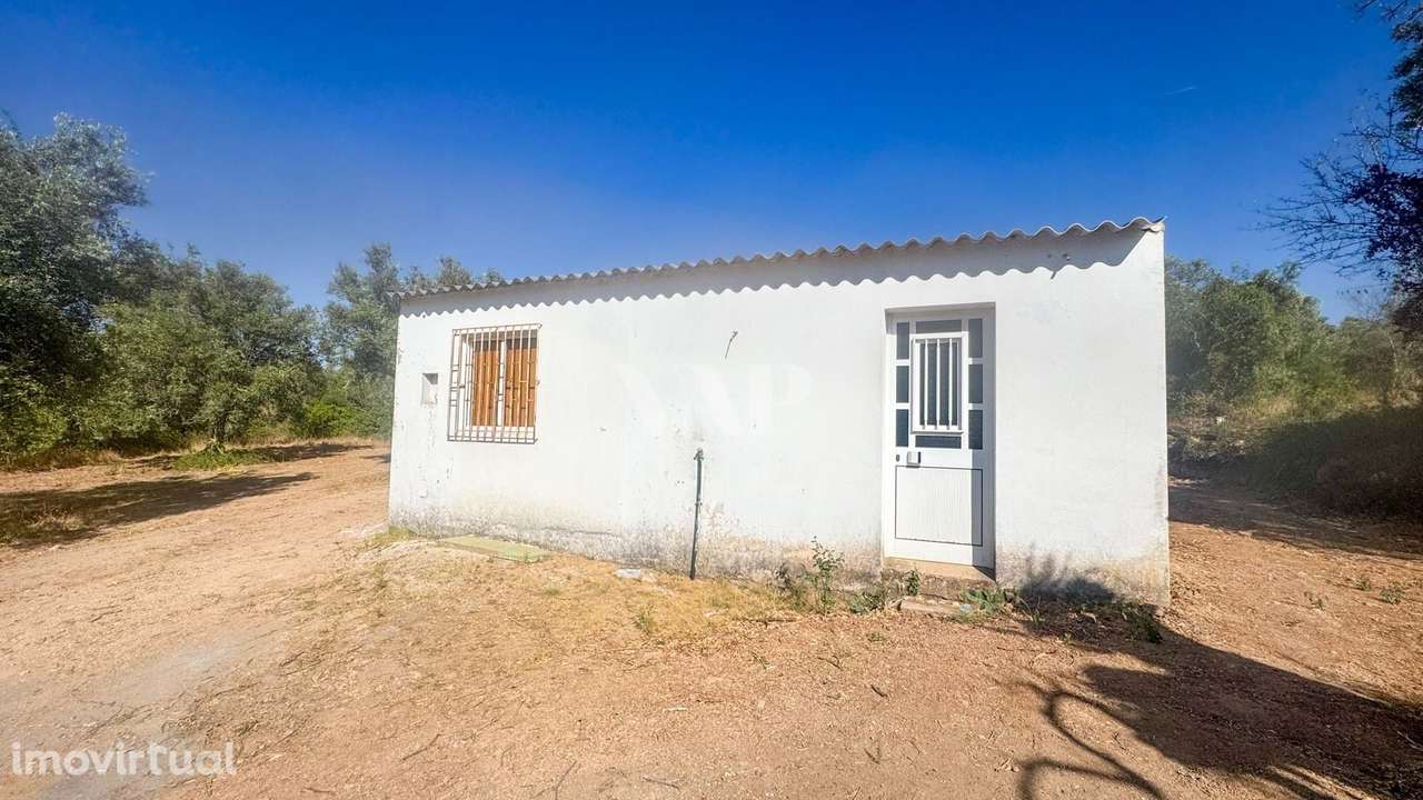 Lote de Terreno Rústico, Querença - Grande imagem: 5/6