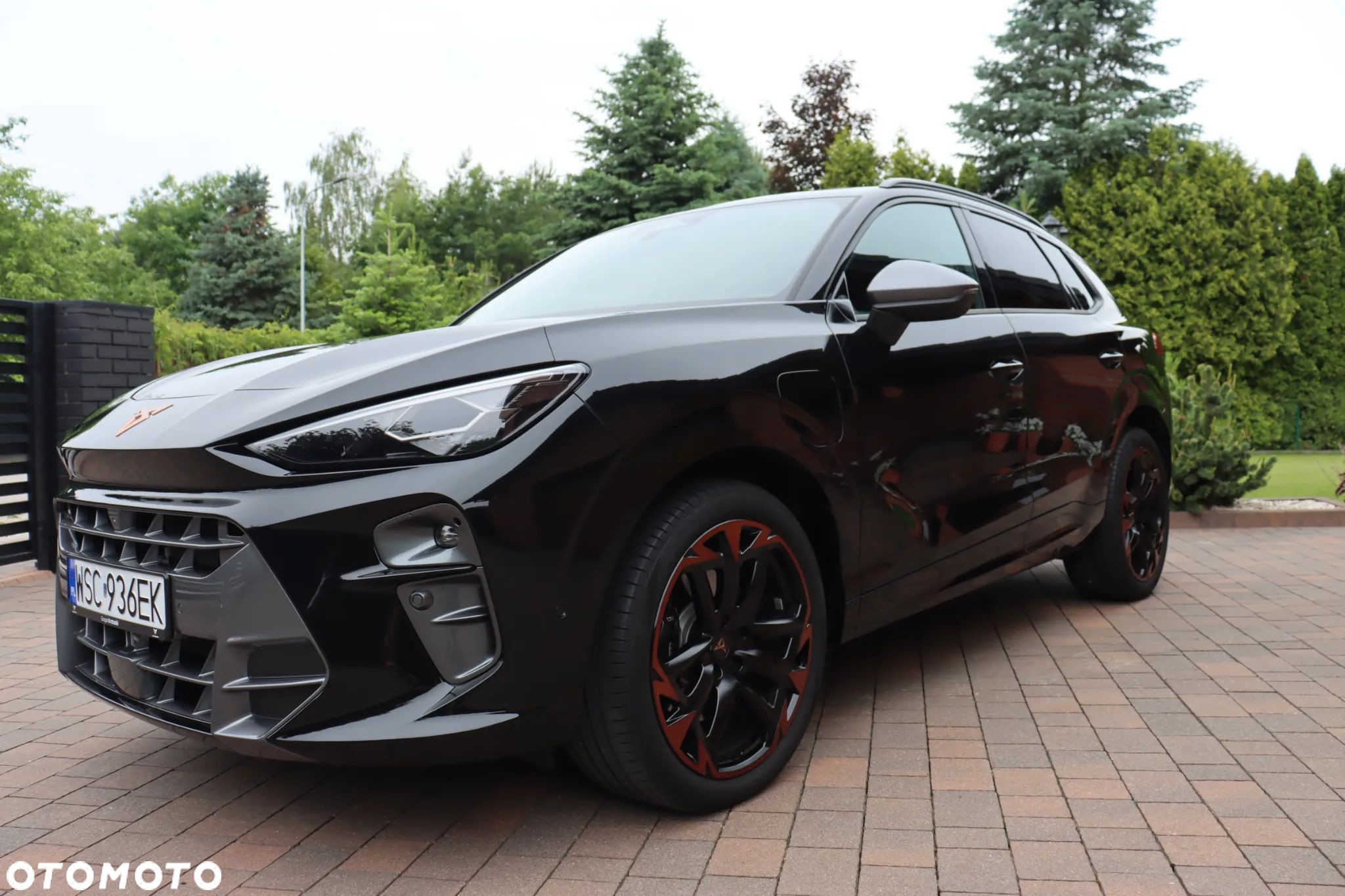 Cupra Terramar - 1