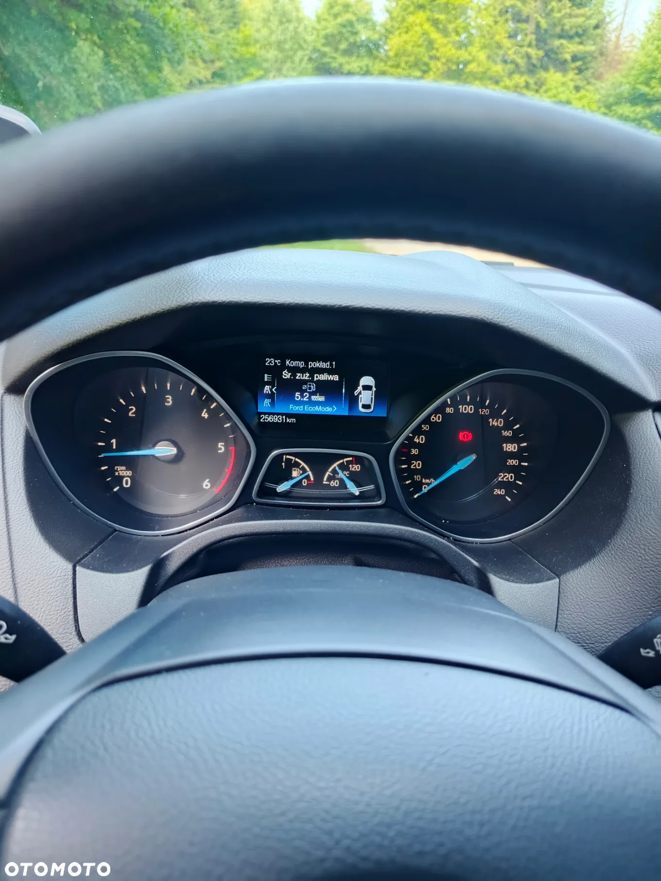 Ford Focus - 8