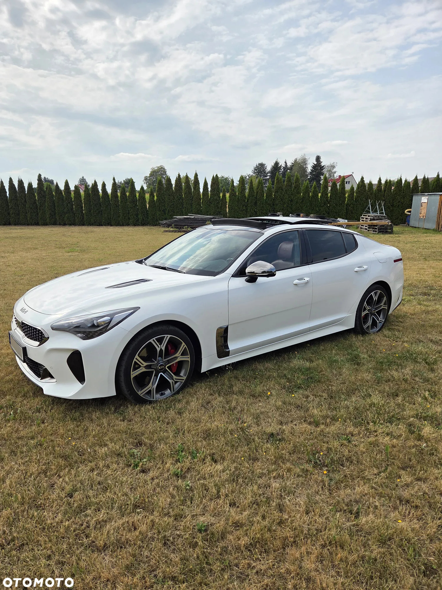 Kia Stinger 3.3 T-GDI V6 GT AWD - 10