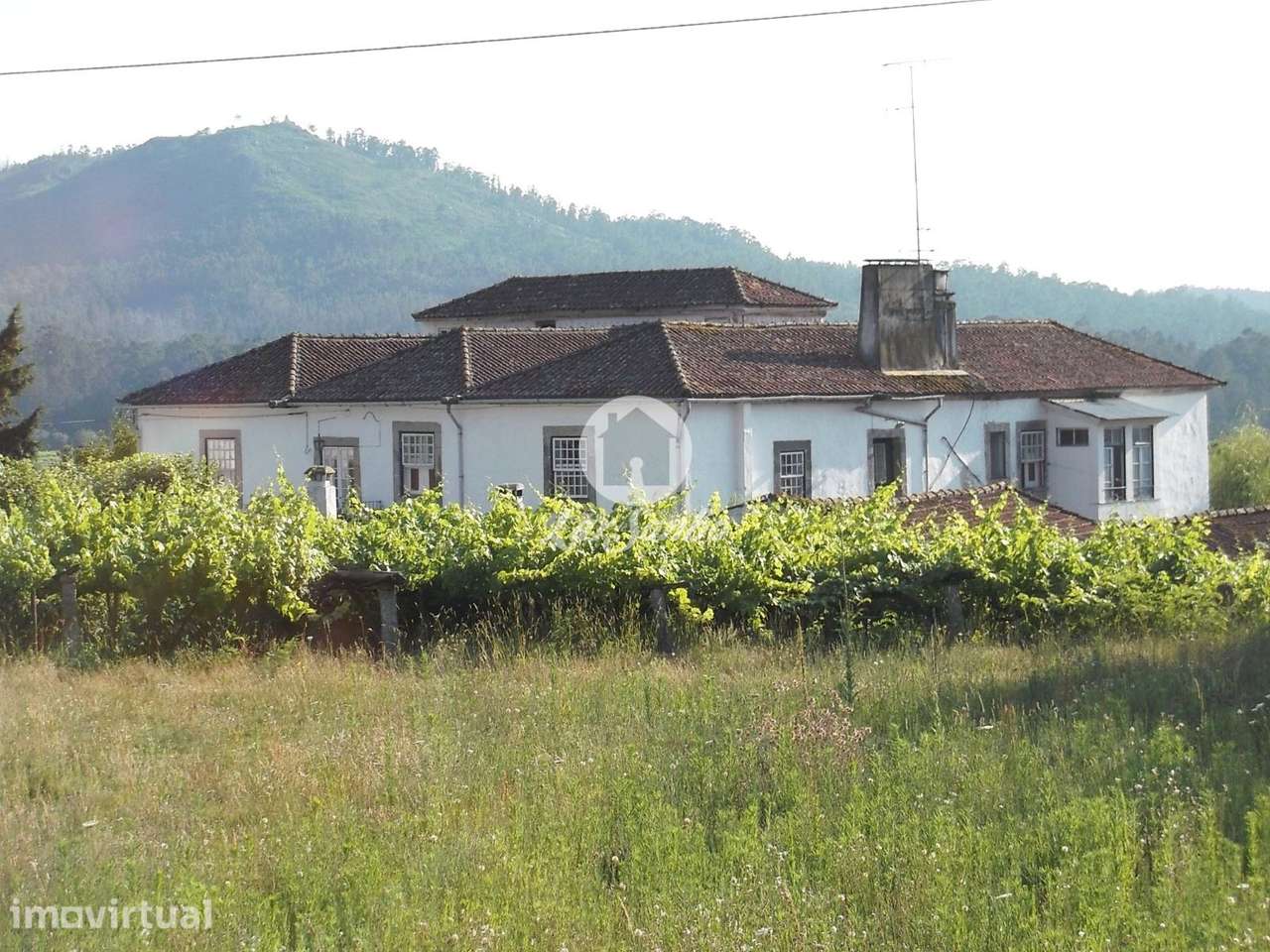 Quinta século XIX com vinhas e bosque em Castelo de Neiva, Viana do... - Grande imagem: 3/28