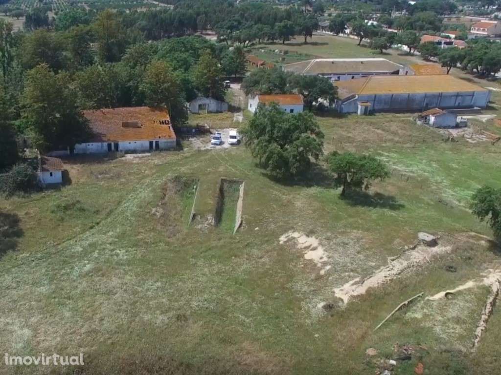 Investimento Turístico, Herdade em Setúbal - Grande imagem: 3/24