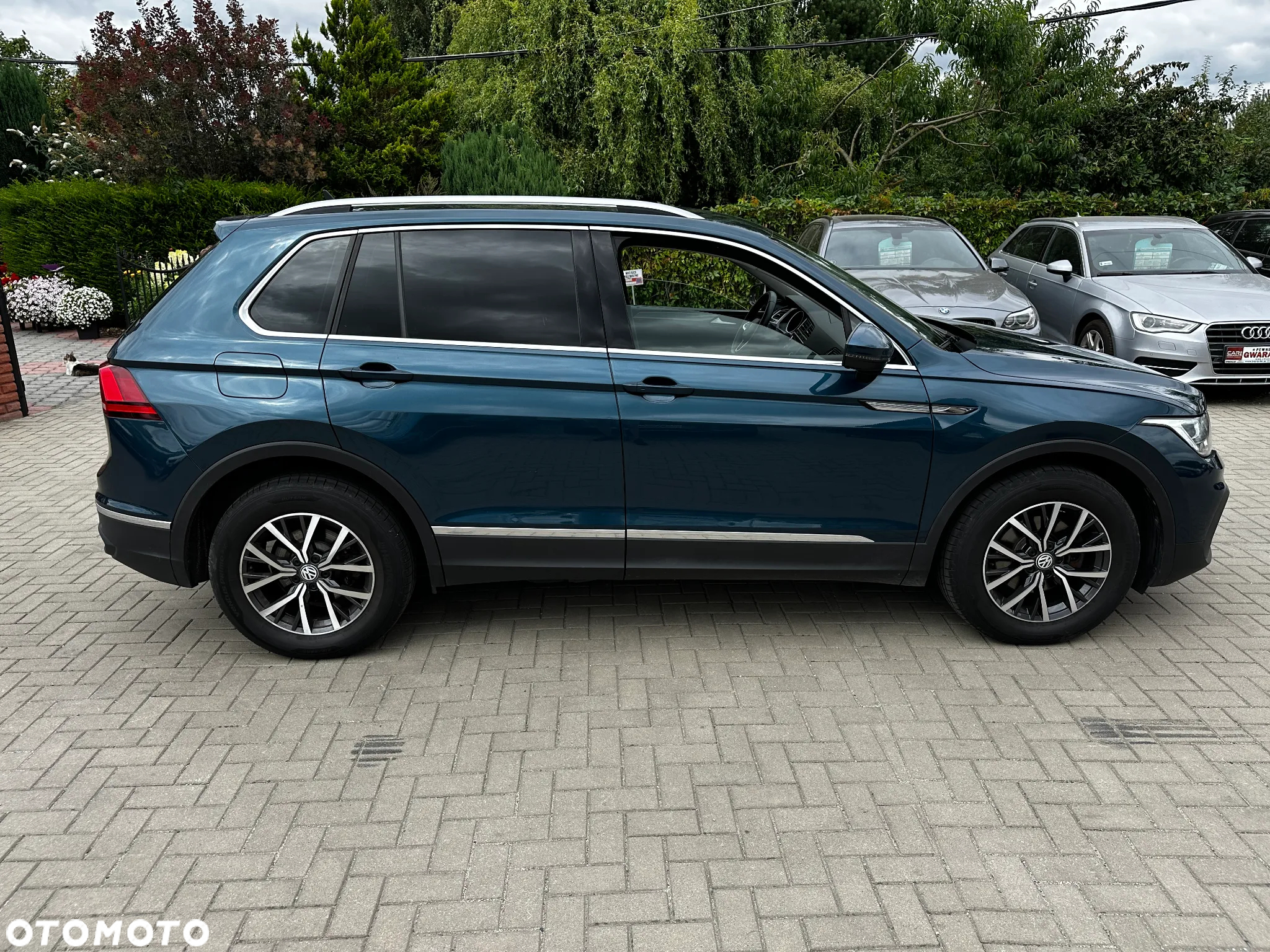 Volkswagen Tiguan - 38
