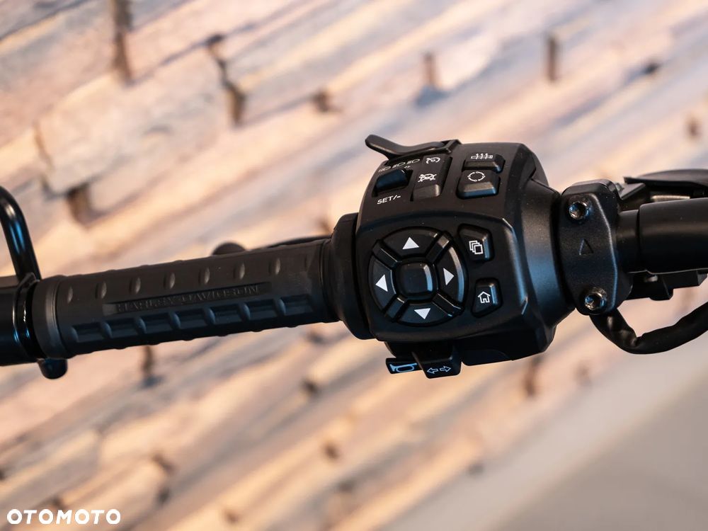 Harley-Davidson Sportster - 12