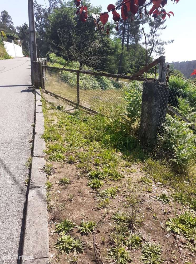 Terreno com 5800 m2 em Pigeiros, Santa Maria da Feira - Grande imagem: 4/16