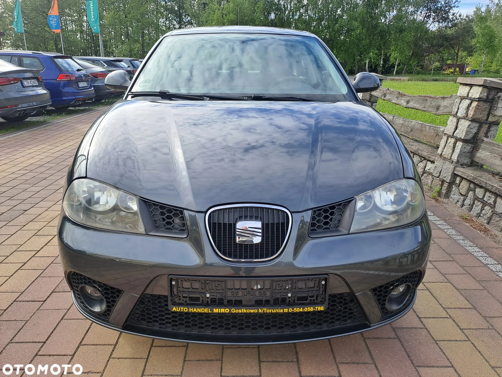 Seat Ibiza - 10