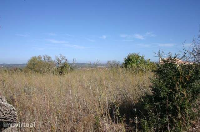 LOTE DE TERRENO NA PRAIA DA LUZ - Grande imagem: 2/4