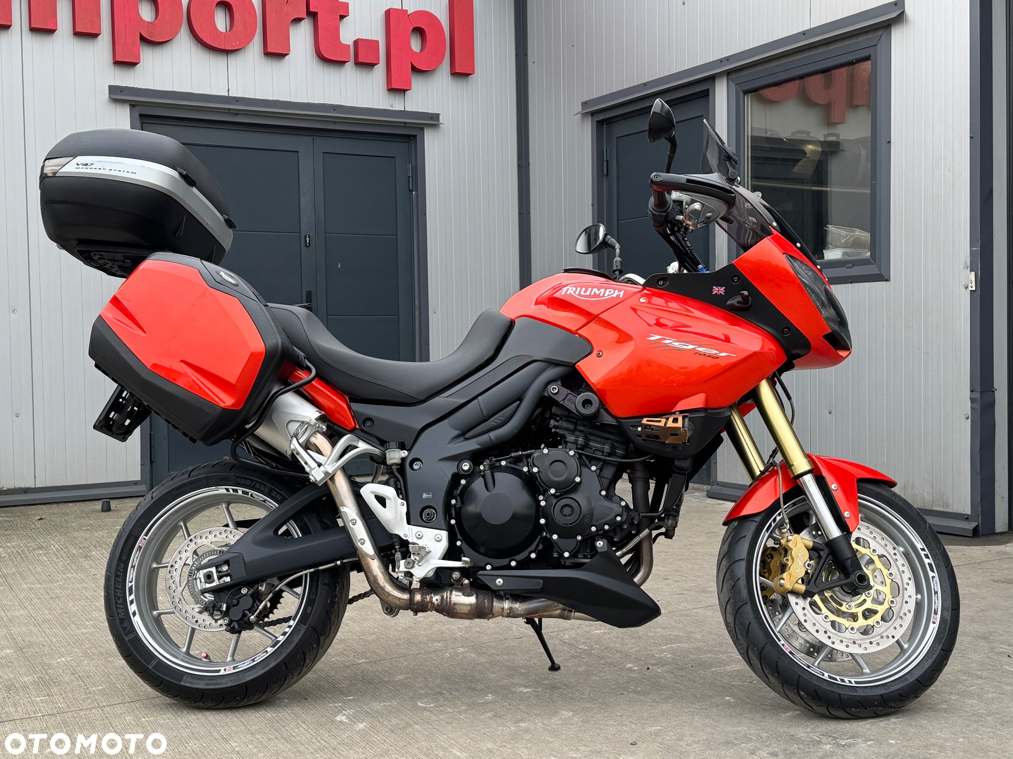 Triumph Tiger - 3